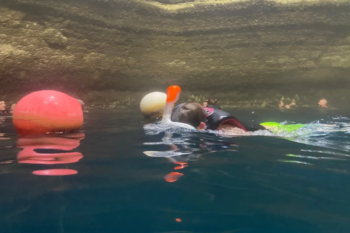 a boy snorkels in Homestead Crater, Utah