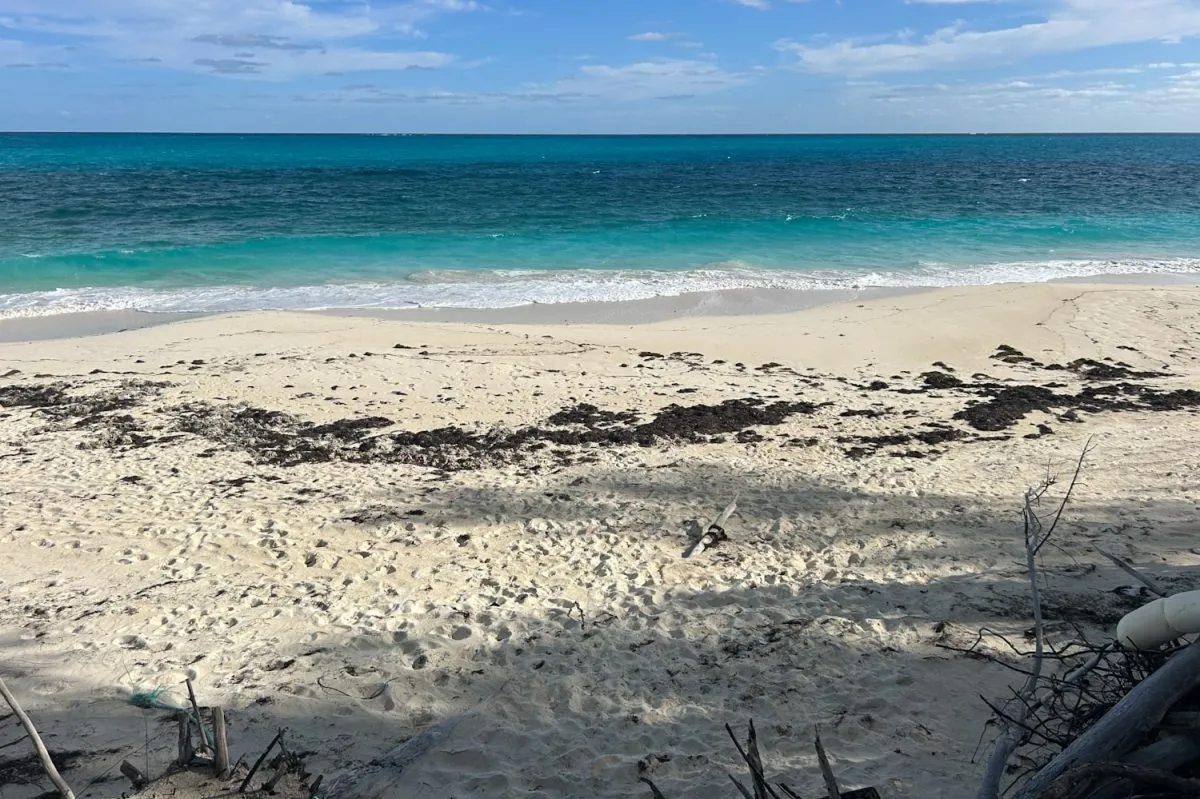 blue water beach
