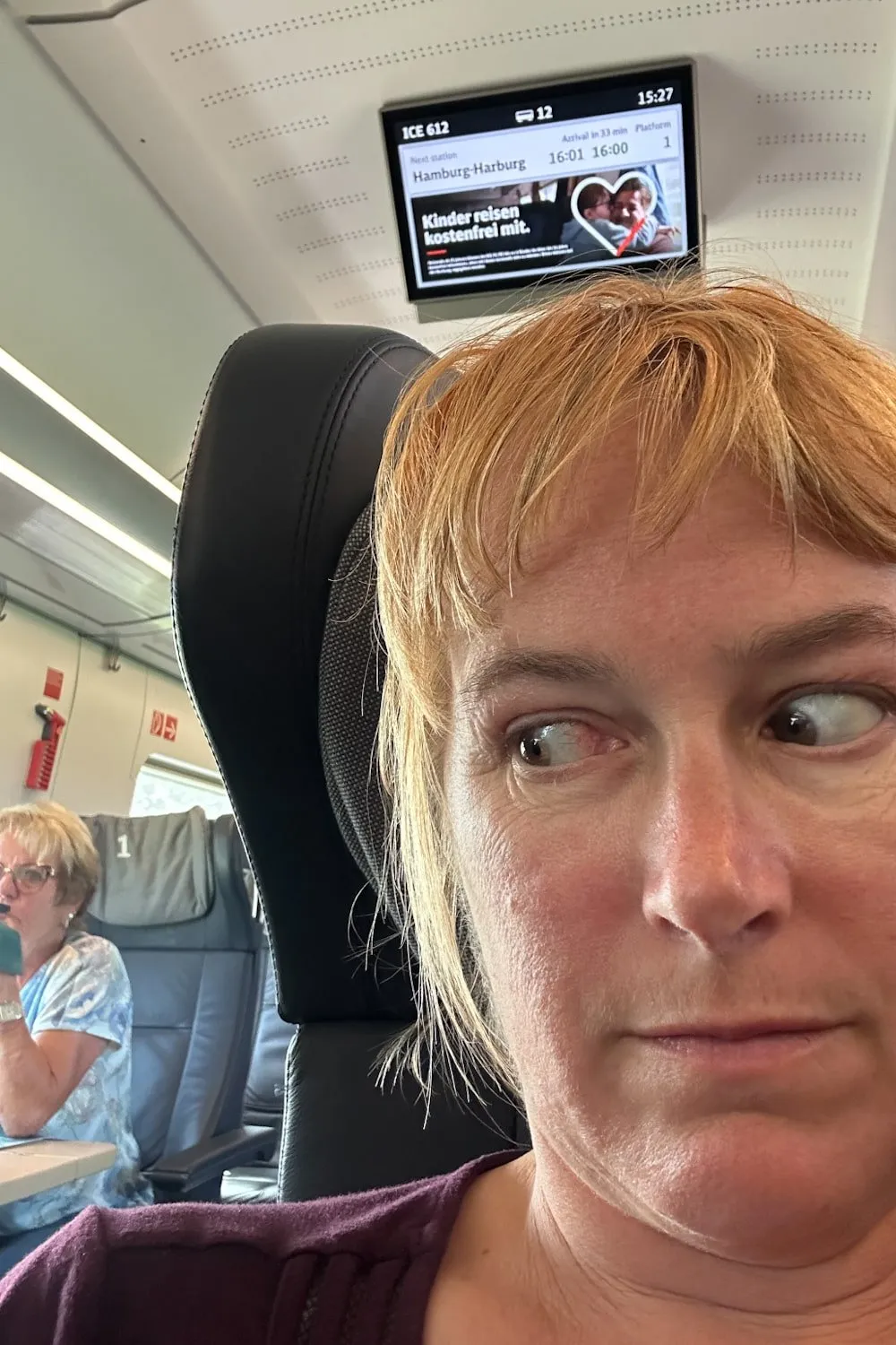 A woman on a train gives side eye to a passenger who is talking into her cell phone behind her.